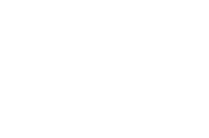 mynt icon white